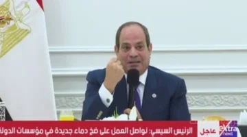 تغيير شكل الدولة.. الرئيس السيسي يكشف عن خطة لإعادة صياغة المؤسسات بصورة منضبطة 1